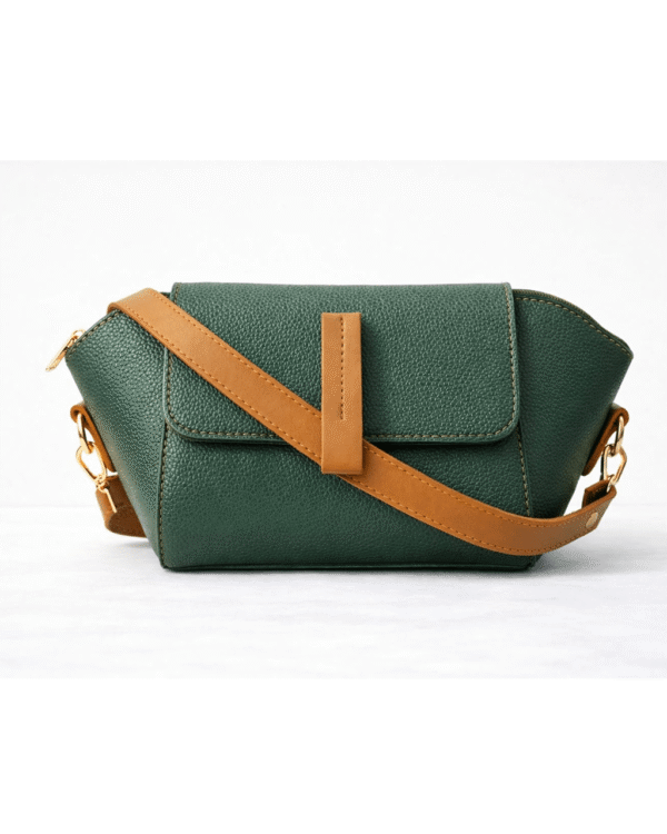 Aleen Turtle Carry