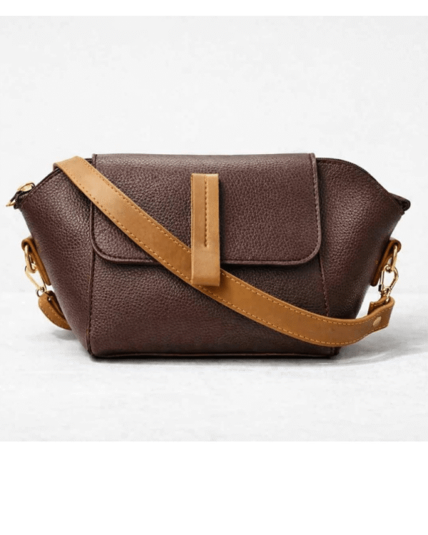 Aleen Turtle Carry